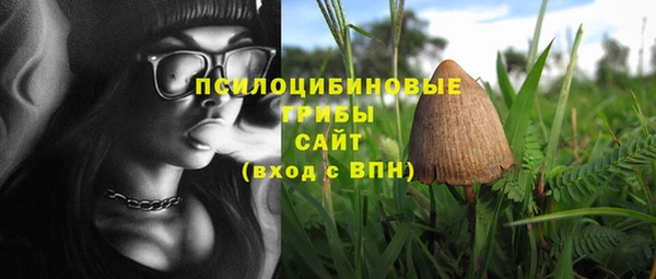 прущая мука Верея