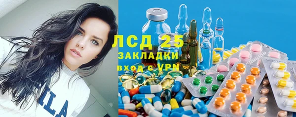 ПСИЛОЦИБИНОВЫЕ ГРИБЫ Верхний Тагил