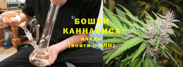 ПСИЛОЦИБИНОВЫЕ ГРИБЫ Верхний Тагил