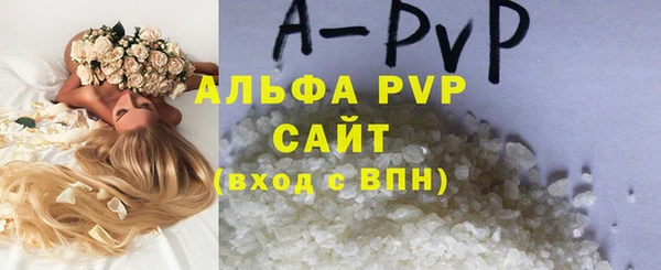 стаф Россошь