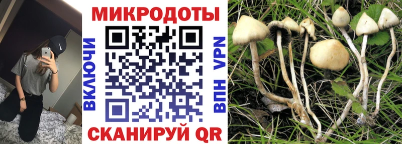 KRAKEN ССЫЛКА  Касимов  Галлюциногенные грибы ЛСД 