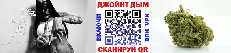 Бошки марихуана конопля  Касимов 
